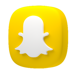 Social Icon
